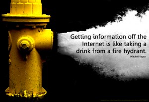 Getting information off the internet is like drinking from a fire hydrant.